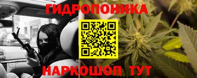 спайс Берёзовский