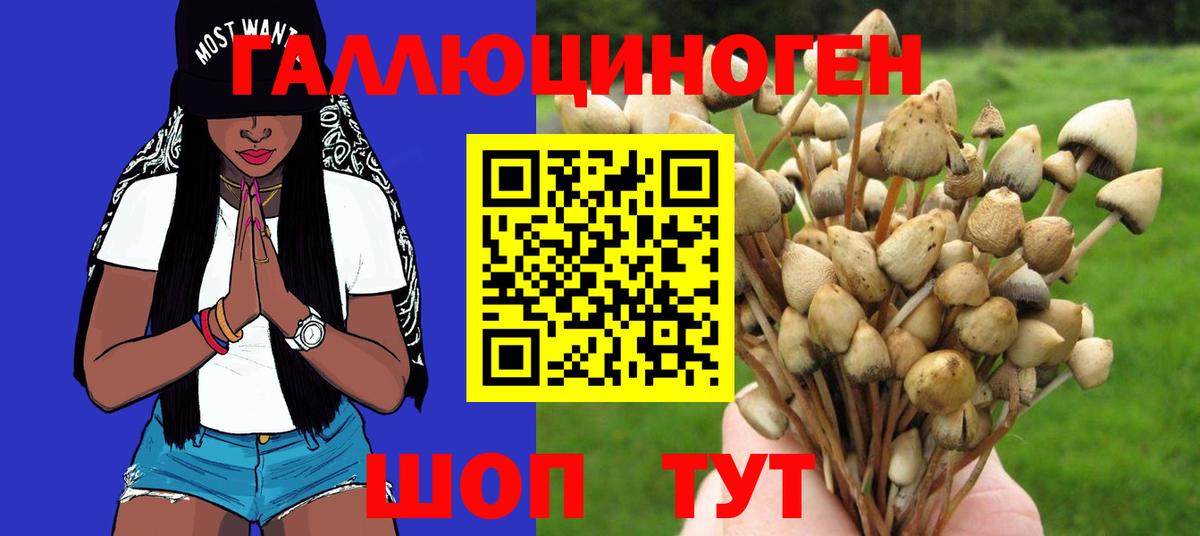 Псилоцибиновые грибы Psilocybe Кимовск