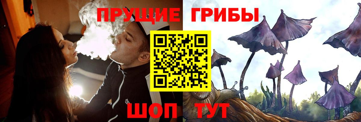 Кимовск  Галлюциногенные грибы ЛСД  Псилоцибиновые грибы прущие грибы  Вход с VPN 